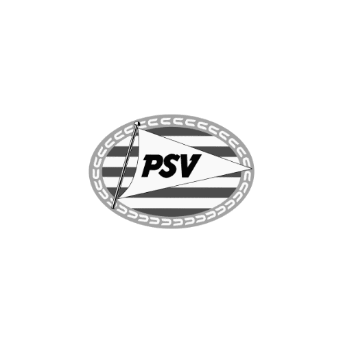 4 PSV logo grey